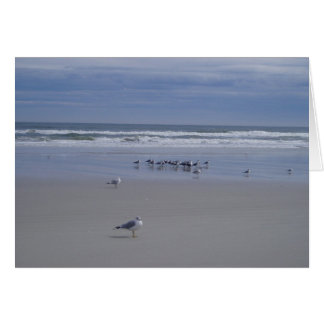 パレードのカモメ