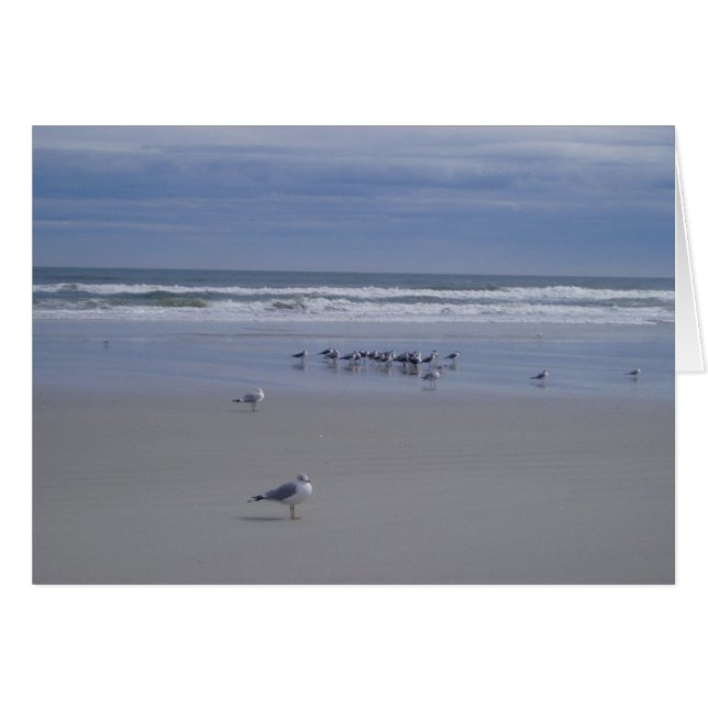 パレードのカモメ (正面横)