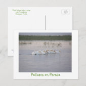 パレードのペリカン ポストカード (正面/裏面)