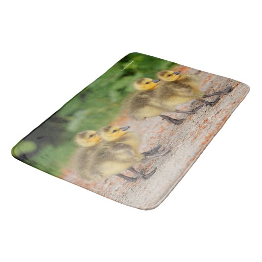 パレードの可愛さ：カナダのガチョウ バスマット (アングル)