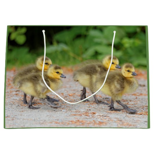 パレードの可愛さ：カナダのガチョウ ラージペーパーバッグ (正面)