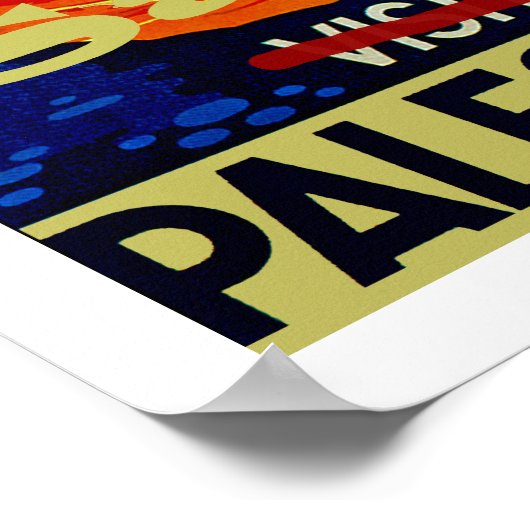 パレ救ス ポスター (角)