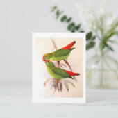 パロぶら下がったット ポストカード (スタンド正面)