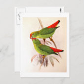 パロぶら下がったット ポストカード (正面/裏面)