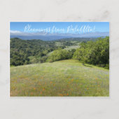 パロアルトからのブルーミングス! ポストカード (正面)