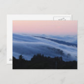 パロアルトトレイル ポストカード (正面/裏面)