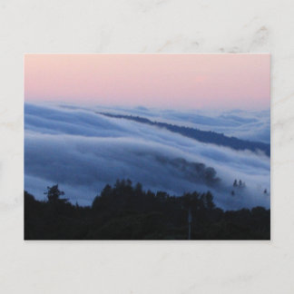 パロアルトトレイル ポストカード