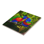 パロカラフルット2 タイル (側面)