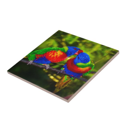 パロカラフルット2 タイル (側面)