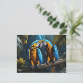 パロカラフルツ ポストカード (スタンド正面)