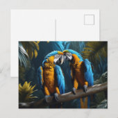 パロカラフルツ ポストカード (正面/裏面)