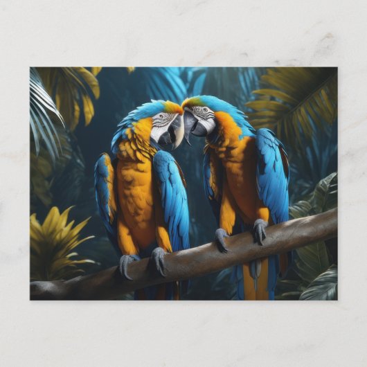 パロカラフルツ ポストカード (正面)