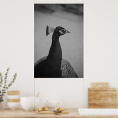 パロスヴェルデピーコック ポスター (キッチン)