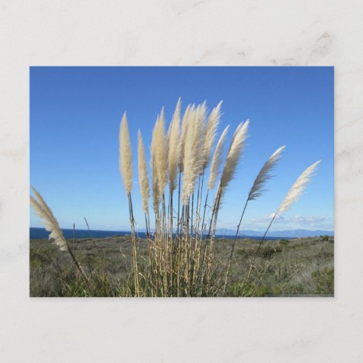 パロス・ヴェルデス。CA #9はがき ポストカード (正面)