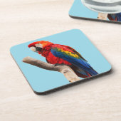 パロッカラフルトポートレート写真 コースター (左側)