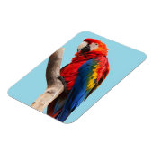 パロッカラフルトポートレート写真 マグネット (左側)