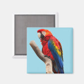 パロッカラフルトポートレート写真 マグネット (正面/裏面)