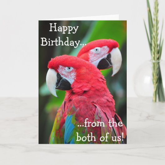 パロッカラフルト誕生日グリーティングカード カード (正面)