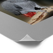 パロッキスをするト可愛い結婚ギフトポスター ポスター (角)