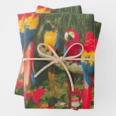 パロッツとポインセティアス写真クリスマス ラッピングペーパーシート (インサイチュ)