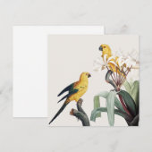 パロッツ (正面/裏面)