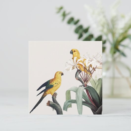 パロッツ (スタンド正面)