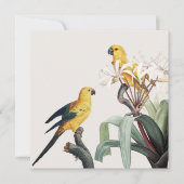 パロッツ (正面)