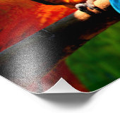 パロッツ フォトプリント            (角)