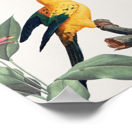 パロッツ ポスター (角)