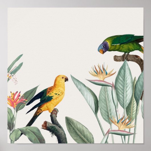 パロッツ ポスター (正面)