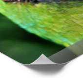 パロッツ ポスター (角)