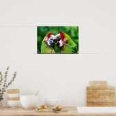 パロッツ ポスター (キッチン)