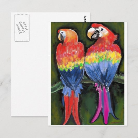 パロッツ ポストカード (正面/裏面)