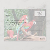 パロットはすぐにカードが回復する ポストカード (裏面)