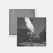 パロットオンキャンドルスティックB&W マグネット (正面/裏面)