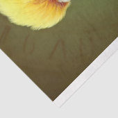 パロットスチームパンク3デクページ紙 薄葉紙 (詳細)