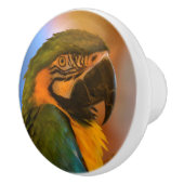 パロットセラミックノブ セラミックノブ (右)