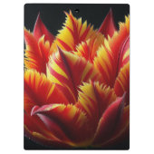 パロットチューリップフローラ赤と黄 クリップボード (裏面)