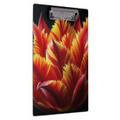 パロットチューリップフローラ赤と黄 クリップボード (右)