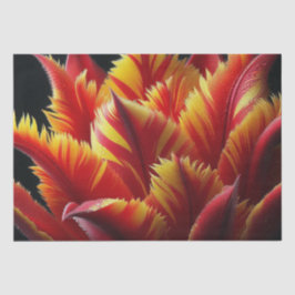 パロットチューリップフローラ赤と黄 薄葉紙