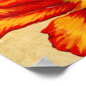 パロットチューリップII ポスター (角)