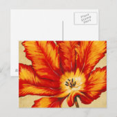 パロットチューリップII ポストカード (正面/裏面)