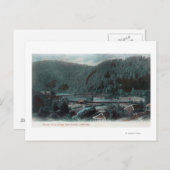 パロットフェリー橋ソノラの空中表示, CA ポストカード (正面/裏面)