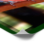 パロットポスター ポスター (角)