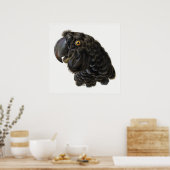 パロットポスター ポスター (キッチン)