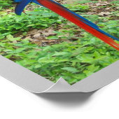 パロットポスター ポスター (角)