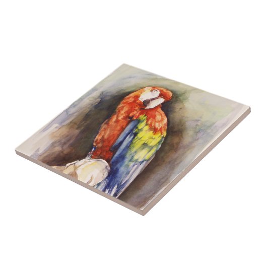 パロッ大切トタイル タイル (側面)