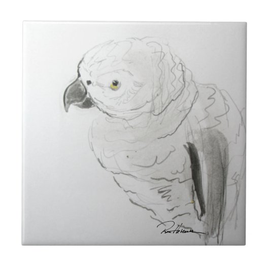 パロッ聞トの近く。.... タイル (正面)