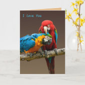 パロツラブ金ゴールドとブルーマコースカーレットマコー カード (黄色い花)