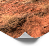 パロデュロキャニオン，テキサス州 ポスター (角)